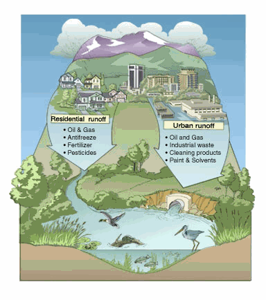 residential runoff: oil and gas, antifreeze, fertilizer, and pesticides. urban runoff: oil and gas, industrial waste, cleaning products, paint and solvents.