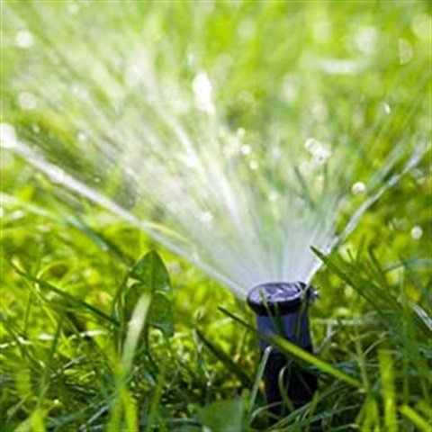 sprinkler stock image